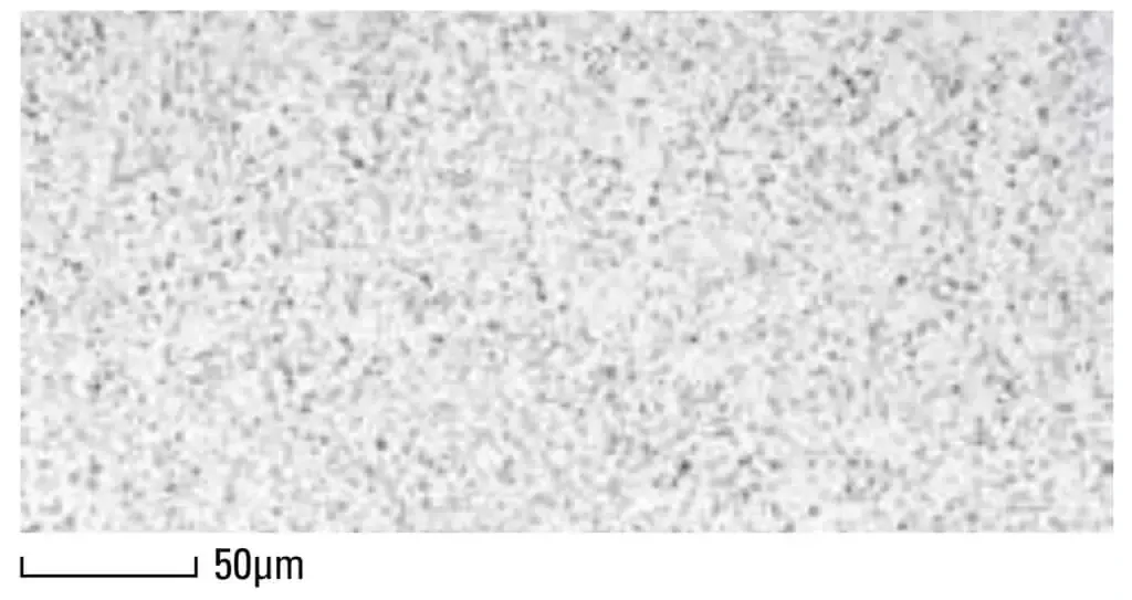 Microstruttura - DRM1